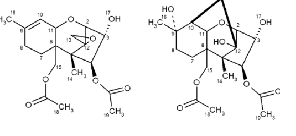 trichothecenes toxin 4